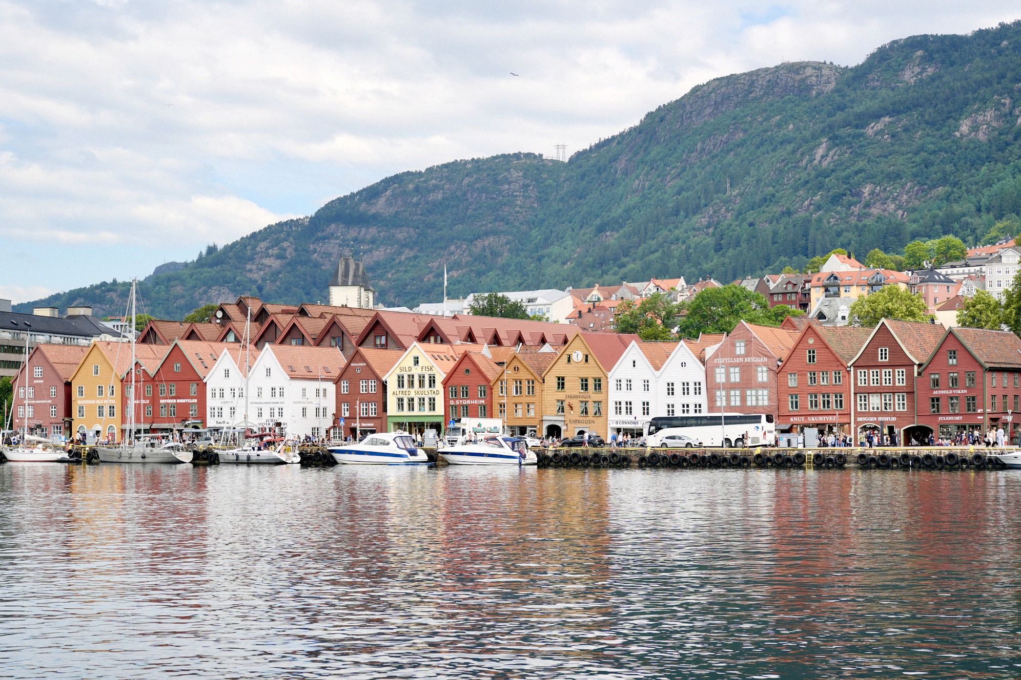 Klassinen näkymä Bryggen hansakorttelin värikkäisiin puutaloihin Vågenin sataman rannalla Bergenissä; taustalla vehreitä vuorenrinteitä.