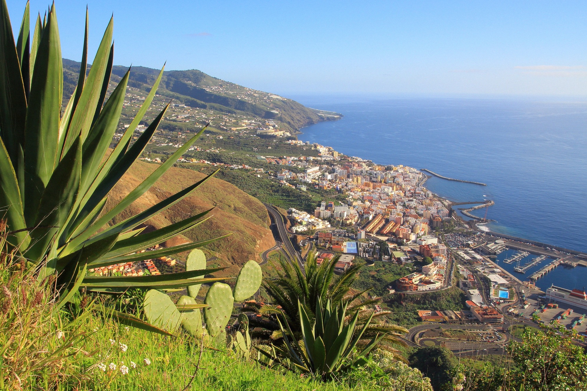 Panoraamanäkymä vuorilta Santa Cruz de La Palmaan, La Palma -saaren pääkaupunkiin. Kaupunki kietoutuu vihreiden kukkuloiden ja Atlantin väliin, etualalla agaaveja ja kaktuksia.