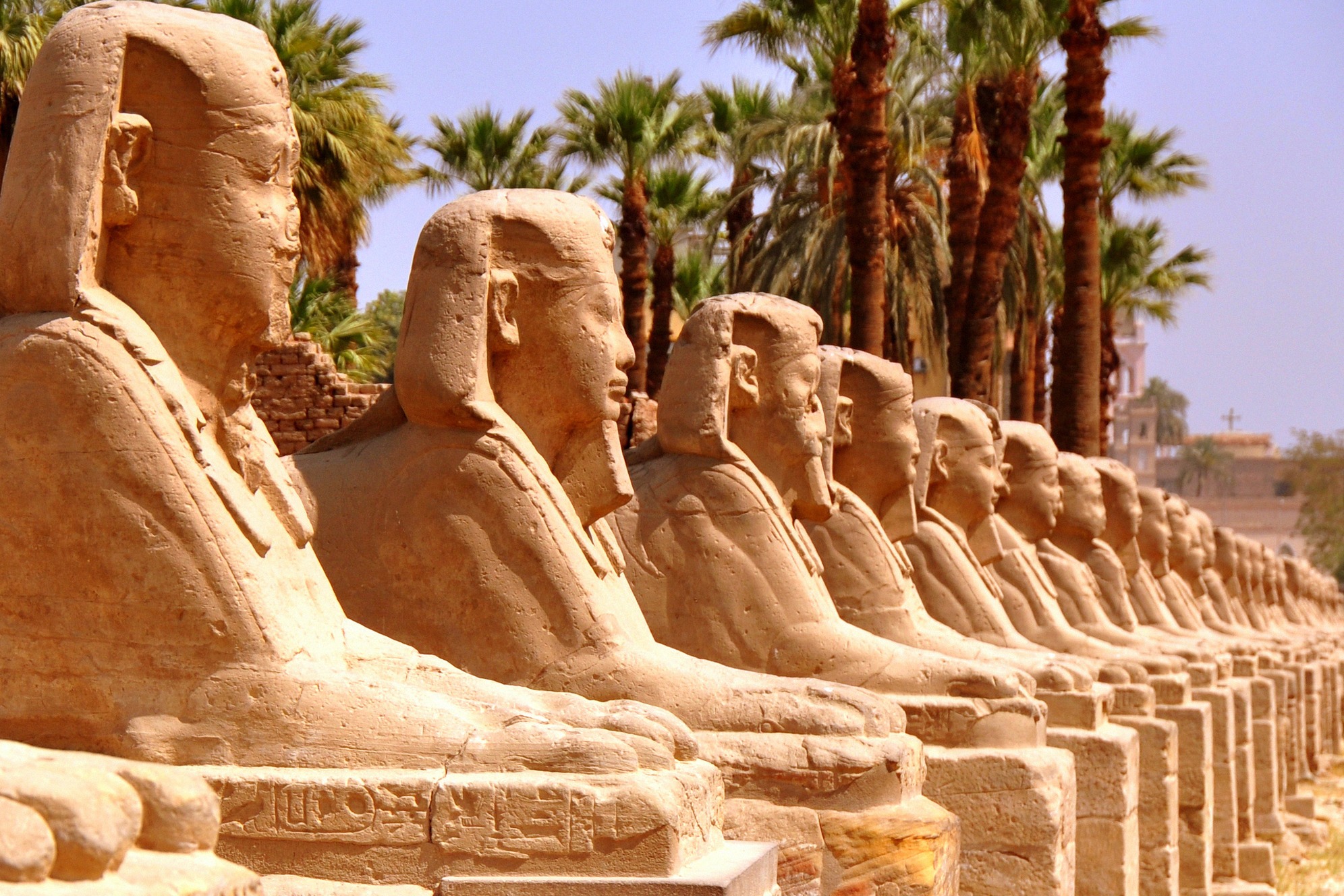 Pitkä sfinksipatsaiden reunustama kuja Luxorin Amon-temppelin sisäänkäynnillä, palmujen ympäröimänä egyptiläisessä aavikkokaupungissa.