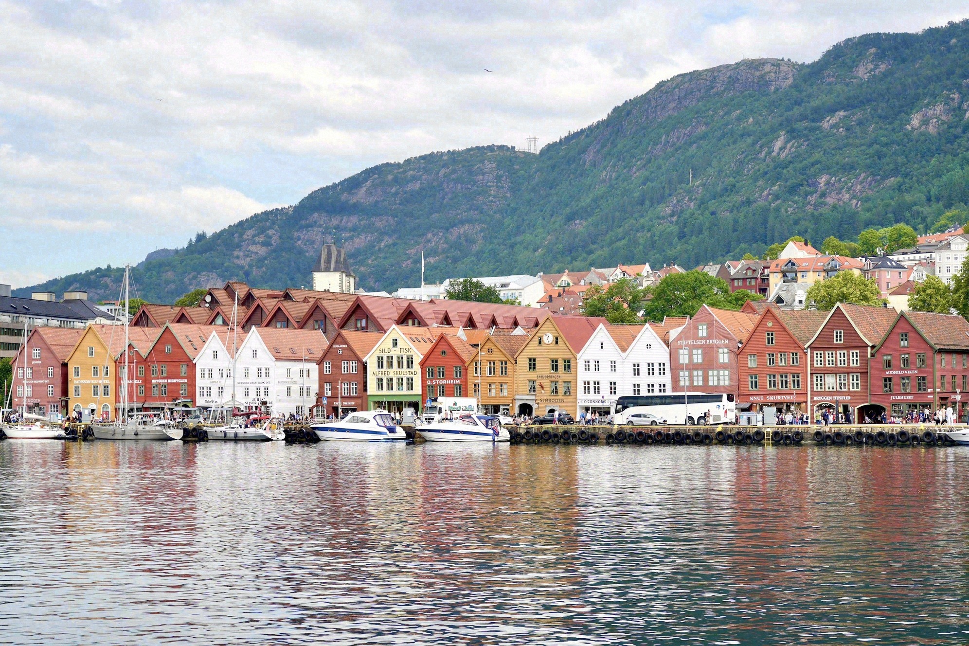 Klassinen näkymä Bryggen hansakorttelin värikkäisiin puutaloihin Vågenin sataman rannalla Bergenissä; taustalla vehreitä vuorenrinteitä.