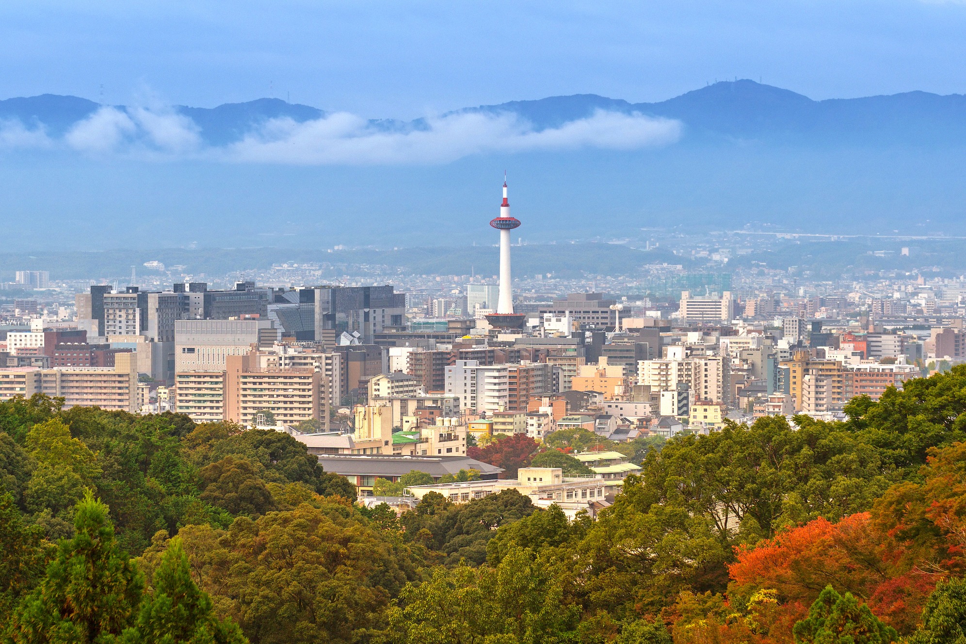Syksyinen panoraama Kyotosta, keskellä näyttävä Kyoto Tower, edessä ruskan värjäämiä puita ja taustalla utuiset metsäiset vuoret.