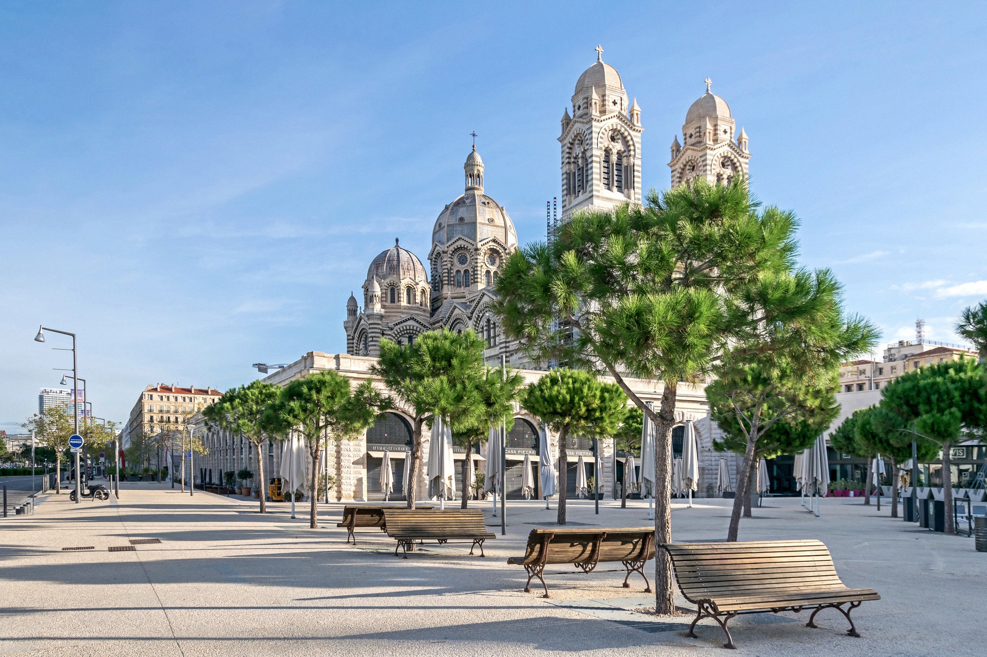 Marseillen vaikuttava Cathédrale de la Major bysanttilais-romaanisine kupoleineen ja torneineen, kuvattuna avaralta Place de la Major -aukiolta nuorten pinjojen reunustamana.