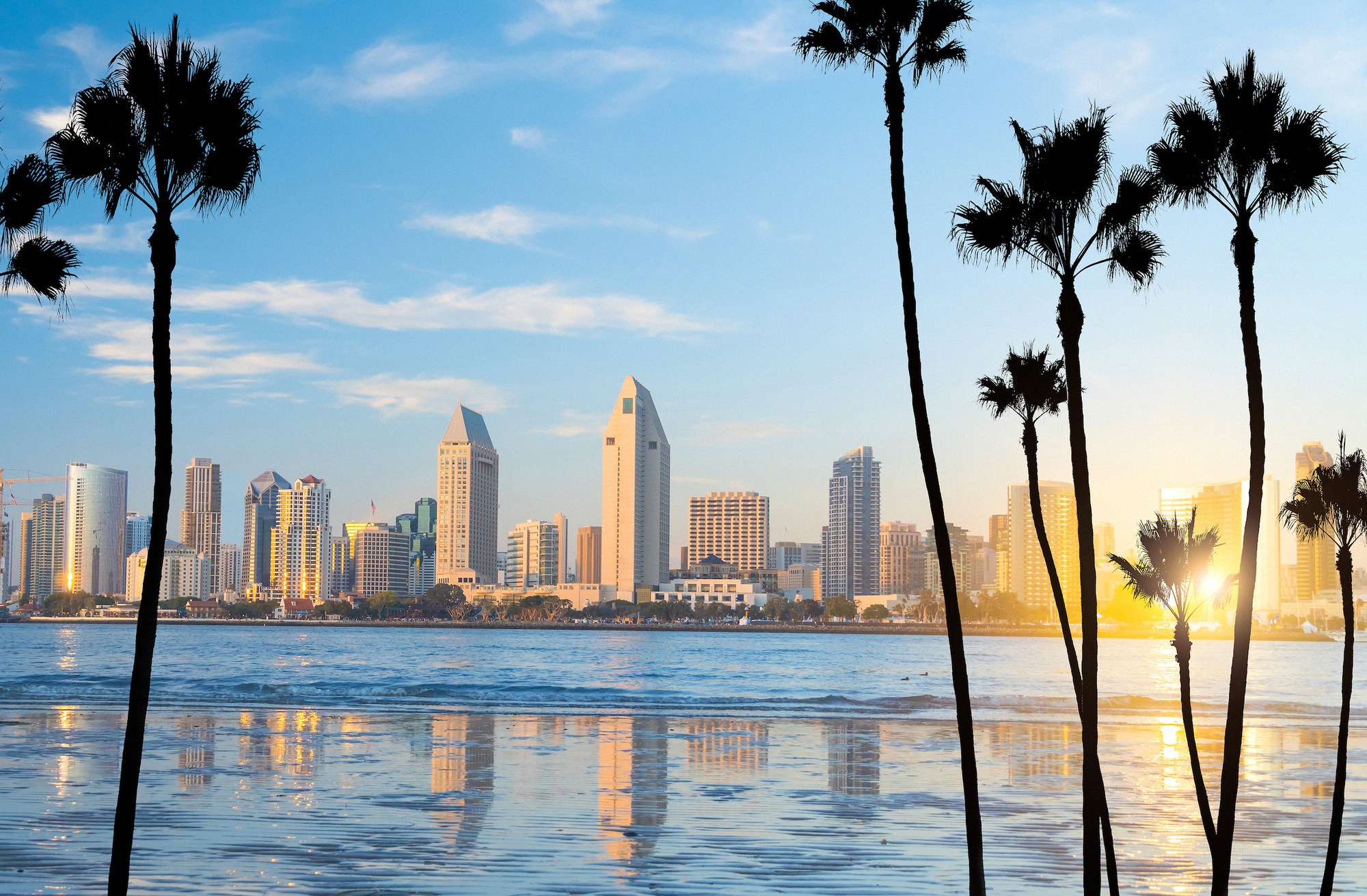 San Diegon keskustan silhuetti aamuvalossa, heijastuu lahden tyyneen veteen, etualalla palmujen siluetteja.