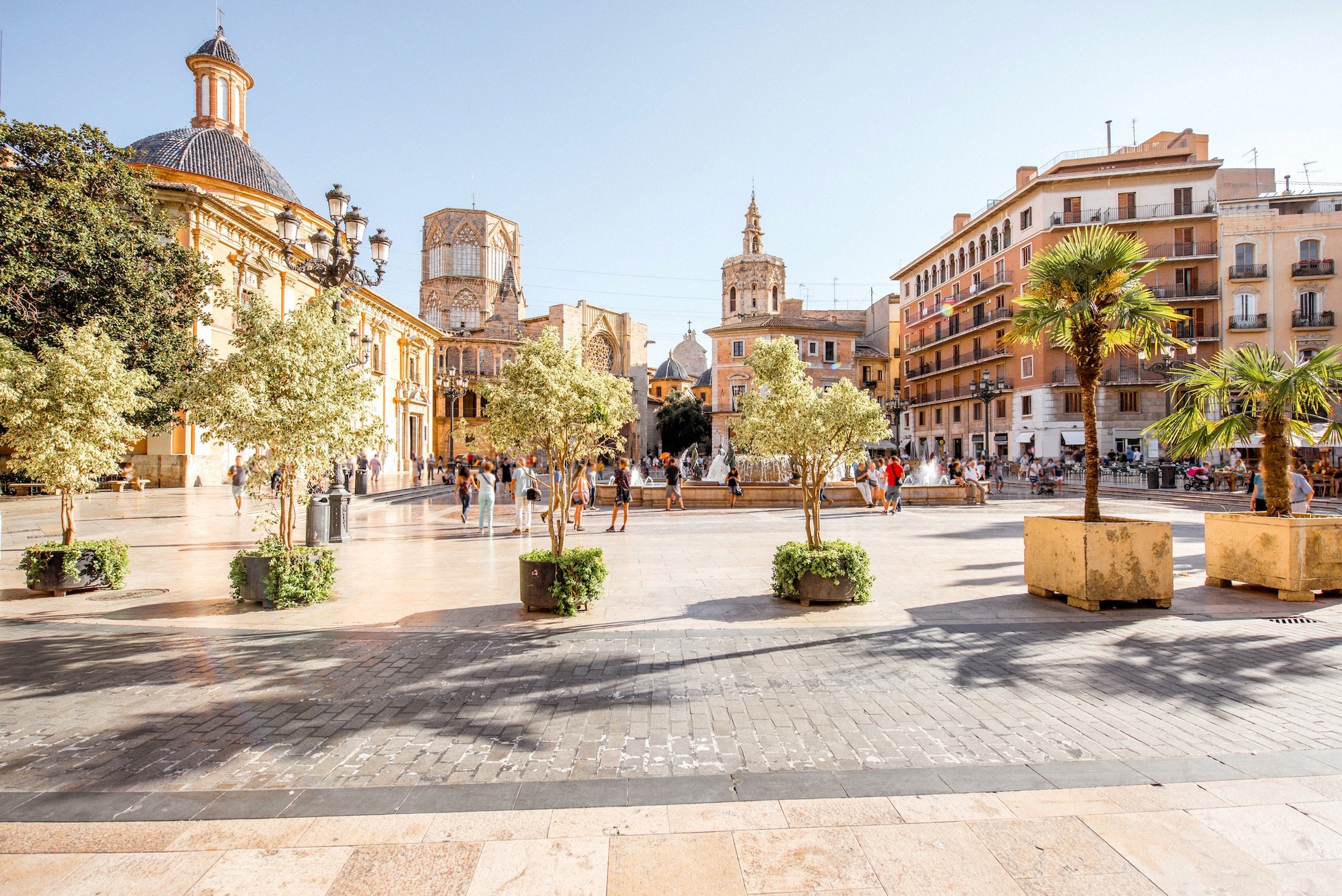 Vilkas Plaza de la Reina Valencian vanhankaupungin sydämessä, palmuja ja appelsiinipuita ruukuissa. Taustalla kohoavat Basílica de la Virgen de los Desamparadosin barokkikupoli ja katedraalin goottilainen Miguelete-torni.